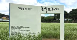 “하얀 메밀꽃이 피면, 봉평으로 떠나자” 동백여행사, 리무진 타고 떠나는 ‘봉평 메밀꽃 가을여행’