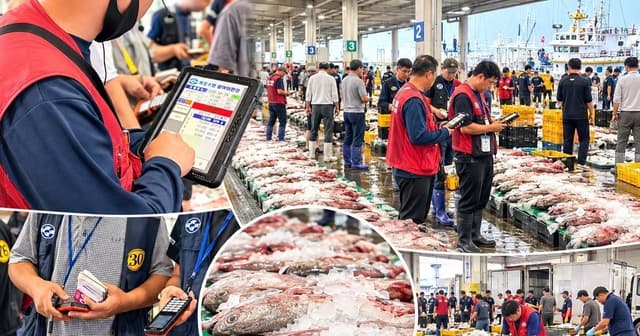 오후에도 멈추지 않는 바다의 일터…목포 북항 위판장