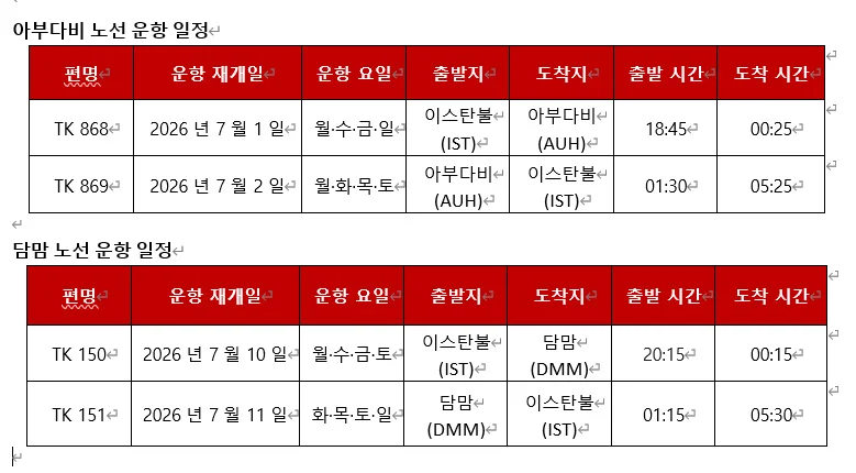 터키항공 이스탄불 허브 공항 전경