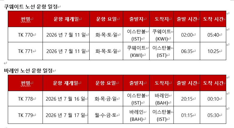중동 노선 운항을 재개한 터키항공 여객기