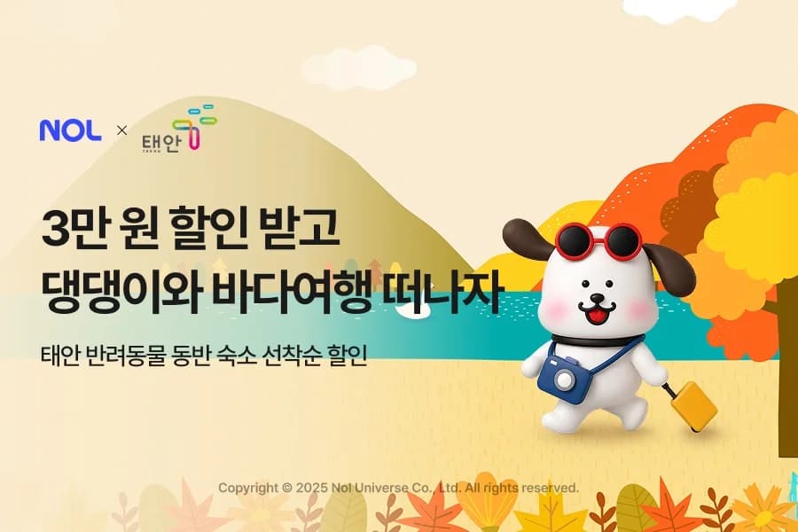 NOL 태안 반려동물 동반 숙소 3만 원 할인