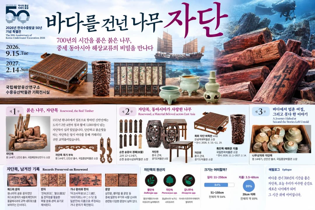 목포 수중유산박물관 바다를 건넌 나무 자단 특별전